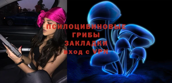 стаф Мегион