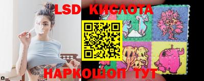 2c-b Кингисепп