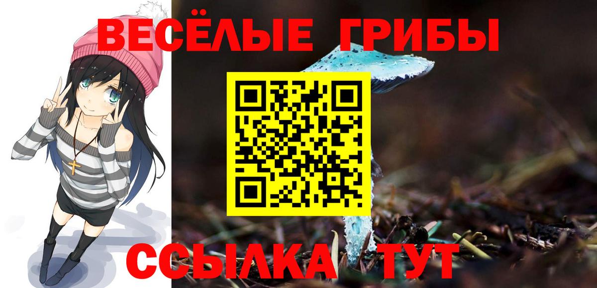Киров  Галлюциногенные грибы Cubensis  купить наркоту  Вход с VPN 