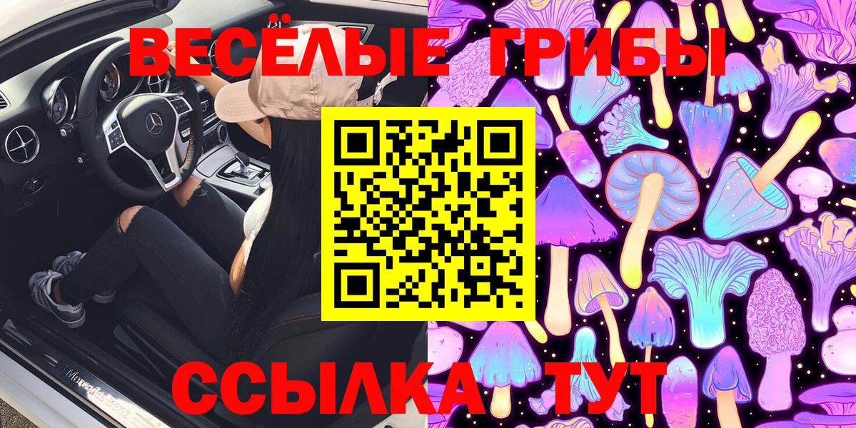 Псилоцибиновые грибы мухоморы Киров